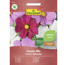 FloraSelf Semena Sonata Mix Cosmos bipinnatus