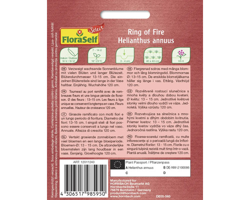 Popis rostliny Slunečnice roční Ring of Fire