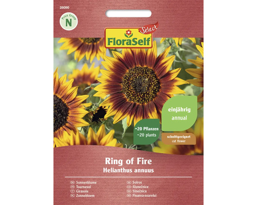 Slunečnice Ring of Fire FloraSelf Select