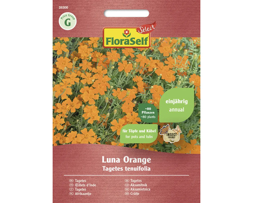 Aksamitník malokvětý Luna Orange FloraSelf Select oranžový