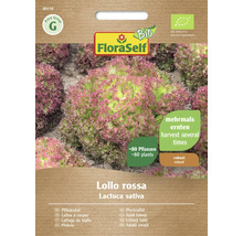 Salát listový BIO FloraSelf Bio Lollo rossa