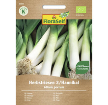Balení semen pórku FloraSelf Herbstriesen 2/Hannibal