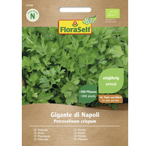 Balení semen petrželky FloraSelf Gigante di Napoli