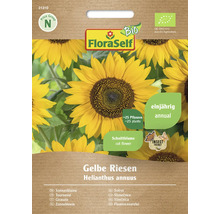 Balení semen slunečnice FloraSelf Gelbe Riesen
