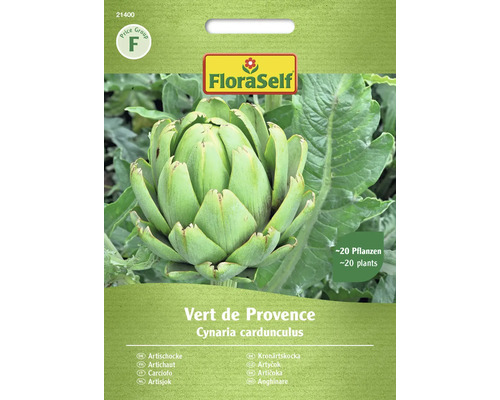 Artyčok Vert de Provence FloraSelf