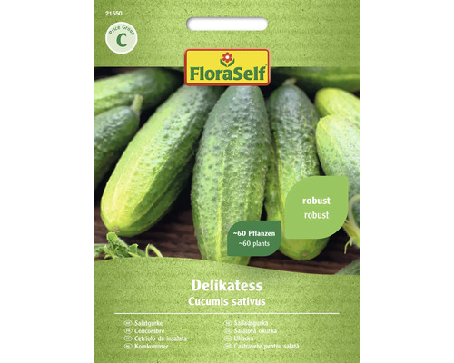 Okurka salátová Delikatess FloraSelf