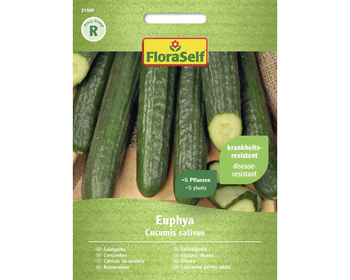 Okurka salátová Euphya FloraSelf F1 hybrid