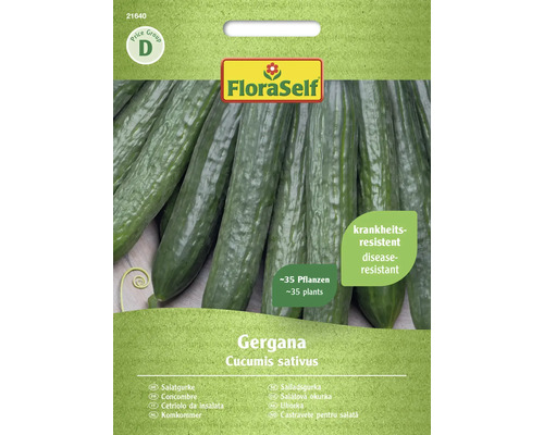 Okurka salátová Gergana FloraSelf