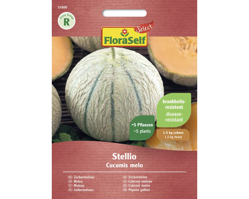 Meloun cukrový Stellio F1 FloraSelf Select
