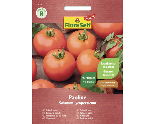 Rajče salátové Paoline FloraSelf Select F1 hybrid