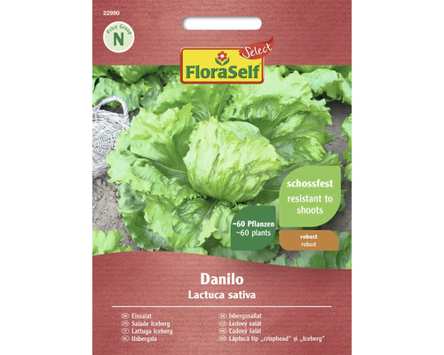 Ledový salát Danilo FloraSelf Select