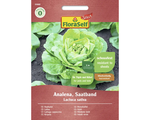 Salát hlávkový Analena FloraSelf Select výsevný pás