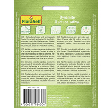 Salát hlávkový Dynamite FloraSelf
