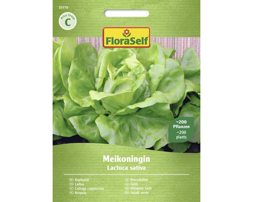 Salát hlávkový Meikoningin FloraSelf