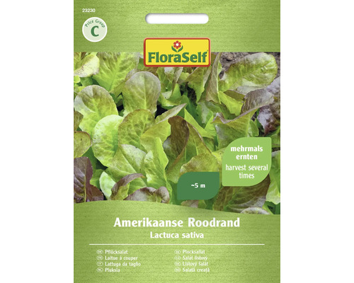 Salát listový Amerikaanse Roodrand FloraSelf