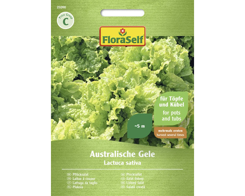 Salát listový Australische Gele FloraSelf