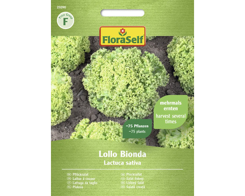 Salát listový Lollo Bionda FloraSelf