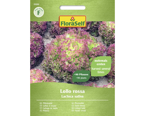 Salát listový Lollo rossa FloraSelf
