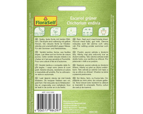 Balení semen endivie Escarole green