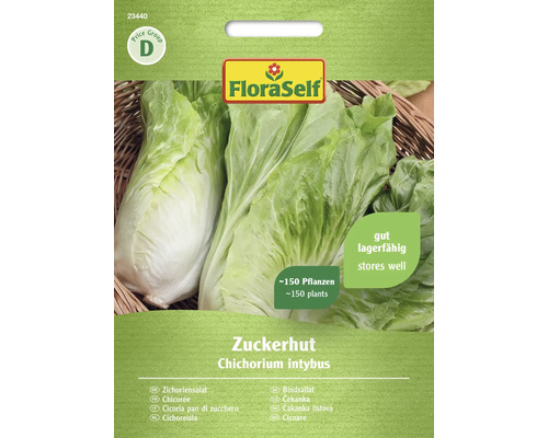 Čekanka salátová Zuckerhut FloraSelf