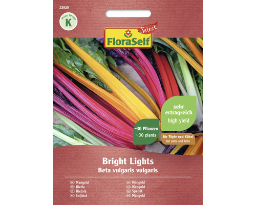 Mangold Bright Lights FloraSelf Select