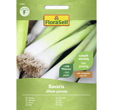 FloraSelf Pór Bavaria Semena pro cirka 150 rostlin