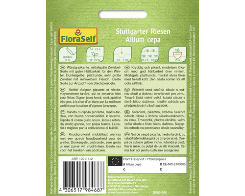 Balení semen cibule Stuttgarter Riesen Allium cepa