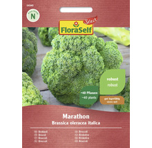 Brokolice Marathon FloraSelf Select F1 hybrid