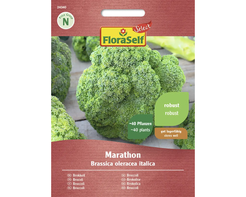 Brokolice Marathon FloraSelf Select F1 hybrid
