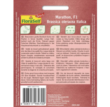 Brokolice Marathon FloraSelf Select F1 hybrid