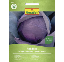 Zelí červené Roodkop FloraSelf