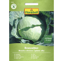 Zelí bílé Brunswijker FloraSelf