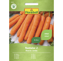 Balení semen FloraSelf Mrkev Nantaise 2