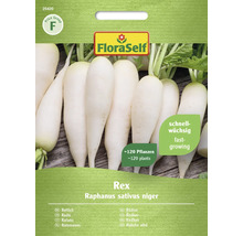 Semena ředkvičky FloraSelf Rex, obsah přibližně 120 rostlin