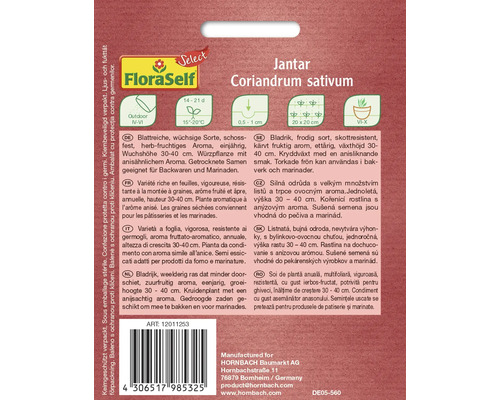 Balení semen koriandru Jantar pro venkovní pěstování
