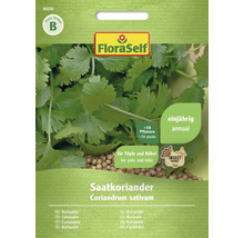 Semínka koriandru setého Coriandrum sativum v sáčku FloraSelf