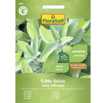 Balíček semen šalvěje lékařské FloraSelf