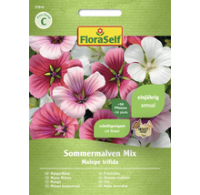 Balíček semen letní slézové směsi od Flora Self