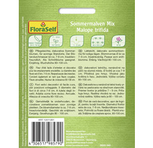 Sommermalven Mix Malope trifida