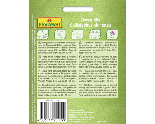 Zwerg Mix Callistephus chinensis semena letních aster pro záhony a květináče