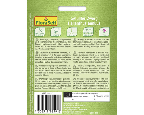 Balení semen Helianthus annuus plnokvětá zakrslá