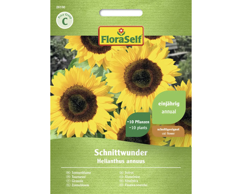 Slunečnice Schnittwunder FloraSelf