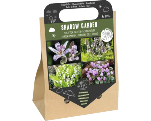 Sada cibulovin do stinné zahrady, 6 kusů