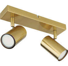 Stropní svítidlo se dvěma reflektory