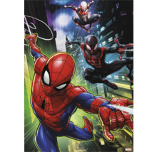 Ilustrace Spider-Mana a dalších postav Spider-Mana na pozadí města.