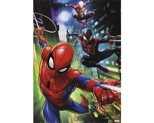 Obraz na plátně Spiderman & Friends 50x70 cm