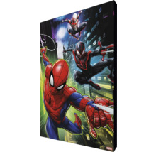 Plátno s motivy Spider-Mana