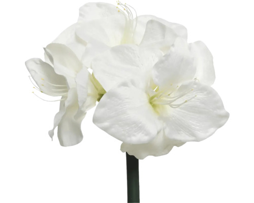 Umělá květina amarylis 60 cm bílá Amarylis umělá květina s několika květy