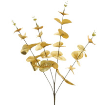 Dekorativní eukalyptová větev