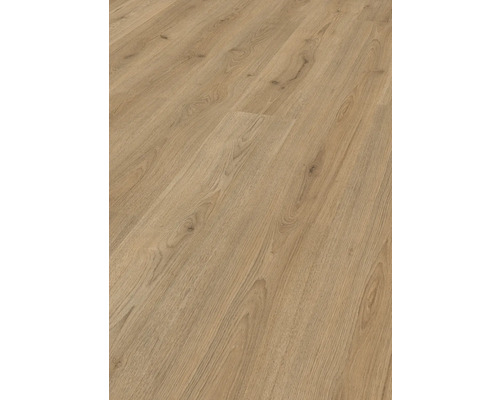 Laminátová podlaha 6.0 Trend dub hnědý Basic Světlá laminátová podlaha se vzhledem dřeva